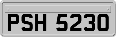 PSH5230