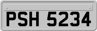 PSH5234