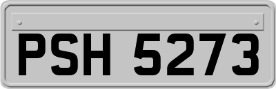 PSH5273
