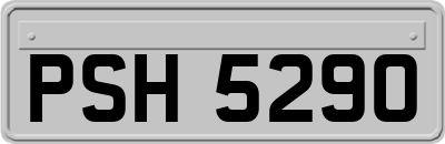 PSH5290