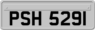 PSH5291