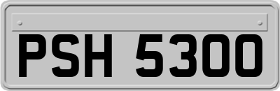 PSH5300