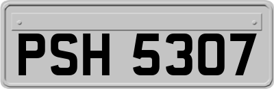 PSH5307