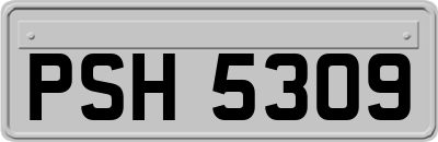 PSH5309