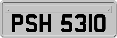 PSH5310