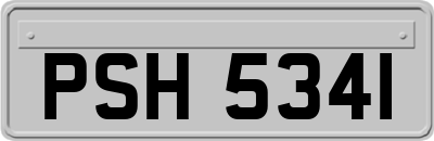 PSH5341