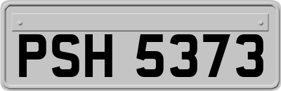 PSH5373