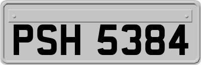 PSH5384