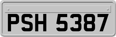 PSH5387