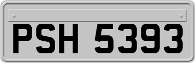 PSH5393