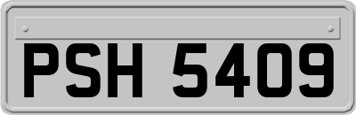 PSH5409