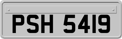 PSH5419