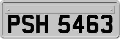 PSH5463