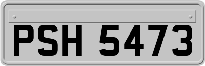 PSH5473