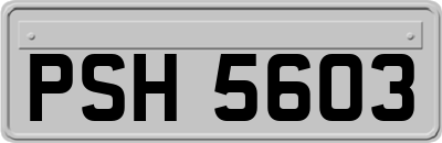 PSH5603