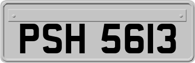 PSH5613