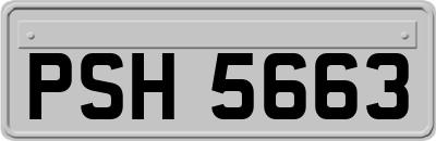 PSH5663