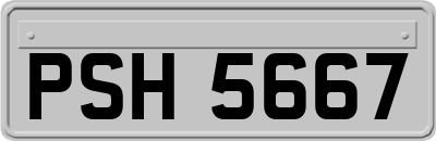 PSH5667