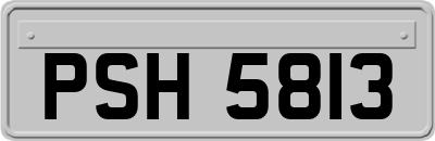 PSH5813