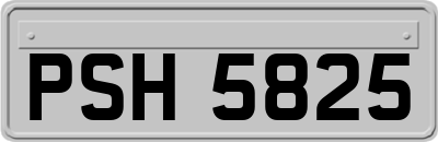 PSH5825