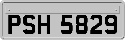 PSH5829