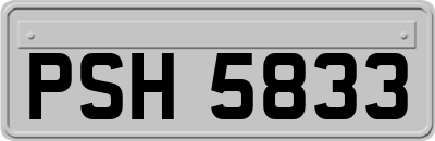 PSH5833