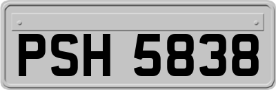 PSH5838