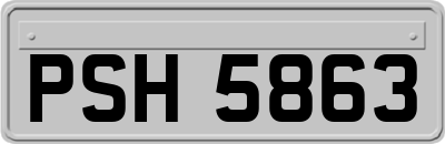 PSH5863