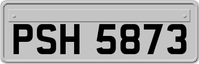 PSH5873