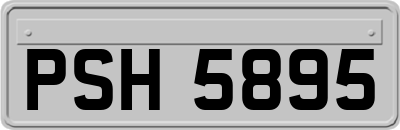 PSH5895