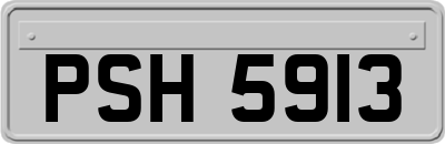 PSH5913