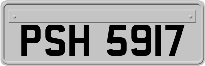 PSH5917