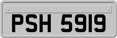 PSH5919