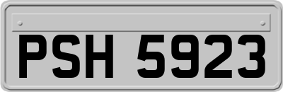PSH5923