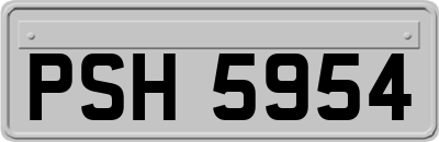 PSH5954