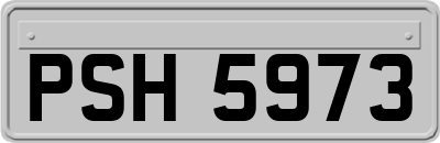 PSH5973