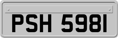 PSH5981