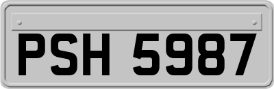 PSH5987