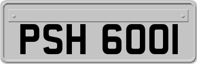 PSH6001