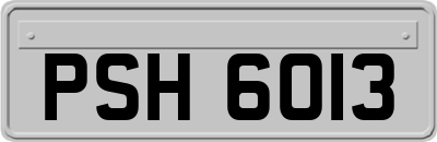 PSH6013