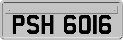 PSH6016