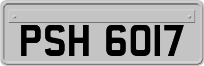 PSH6017