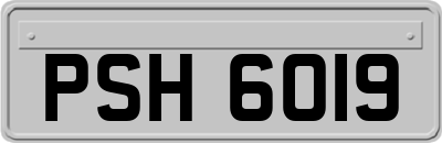 PSH6019