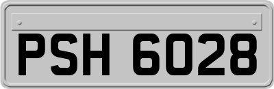 PSH6028