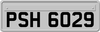 PSH6029