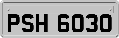 PSH6030