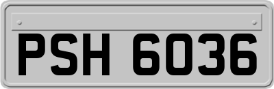 PSH6036