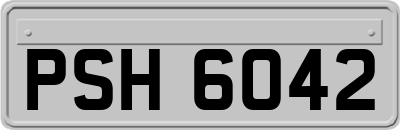 PSH6042