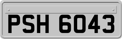 PSH6043