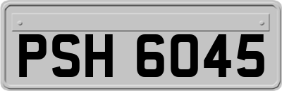 PSH6045